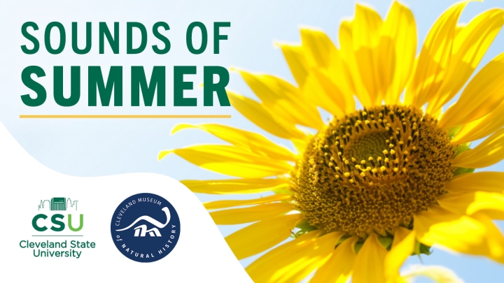 Sounds of Summer '25