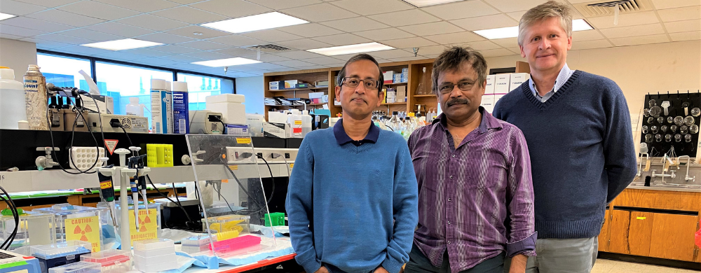 Abhijit Basu, Ph.D., Barsanjit Mazumder, Ph.D. and Anton Komar, Ph.D.