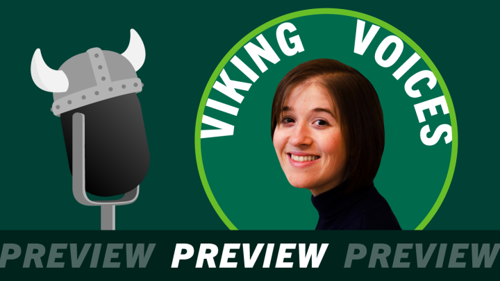 V VPreview