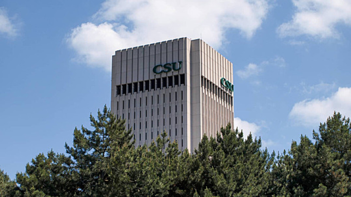 Rhodes Tower peeks out from the trees