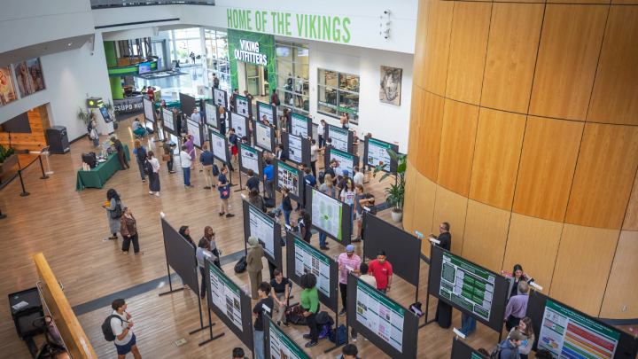 Poster Session Recap 2026