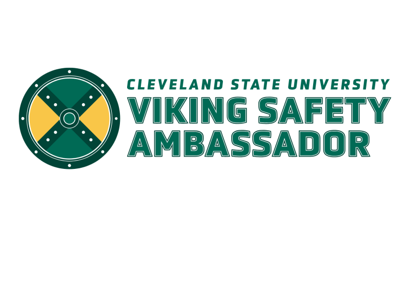 Viking Safety Ambassador Logo